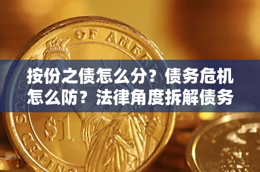 北京按份之债怎么分？债务危机怎么防？法律角度拆解债务分配与风险自保指南