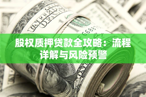 北京股权质押贷款全攻略：流程详解与风险预警