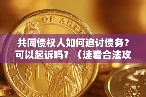 北京共同债权人如何追讨债务？可以起诉吗？（速看合法攻略）