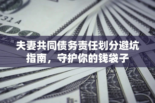 北京夫妻共同债务责任划分避坑指南，守护你的钱袋子