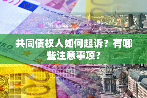 北京共同债权人如何起诉？有哪些注意事项？